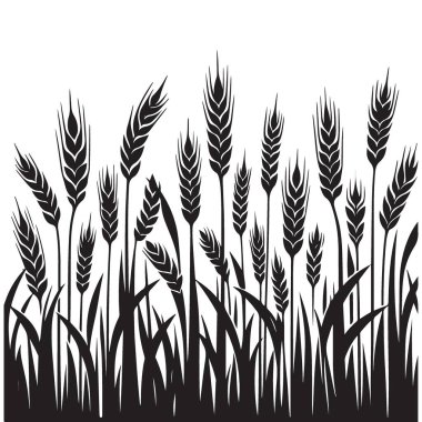 Altın Buğday Sahası İllüstrasyon Hasat ve Bolluk Sembolü