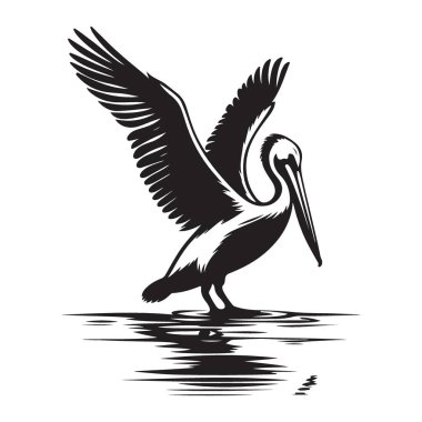 Suya Pelikan Çıkarması Siyah Silüet Vektör Resim Sanatı