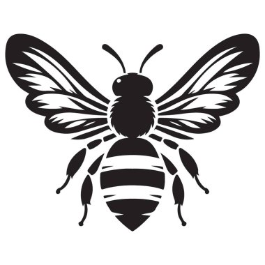 Ayrıntılı Kanatlı ve Antenli Bal Arısı Silueti
