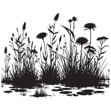 Vahşi Bitkiler ve Bataklık Ekosistemleri: Siluet Çizim ve Bitki Çalışması