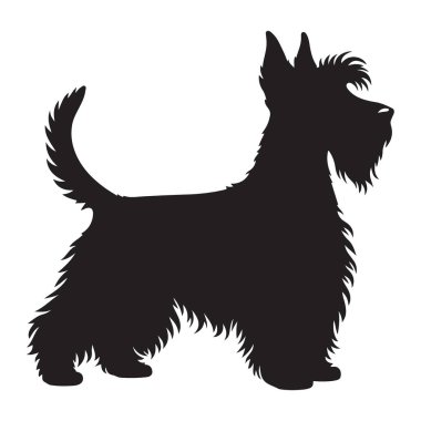 Klasik İskoç Teriyer Silueti Eğlenceye ve Oynamaya Hazır