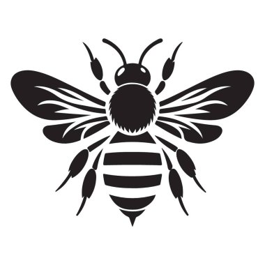 Detaylı Bal Arısı Silüeti Doğayı Sevenler İçin Çizim