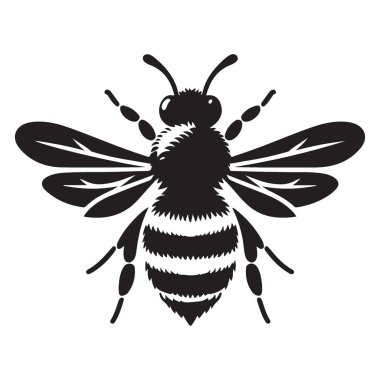 Ayrıntılı Bal Arısı Çizimi Karmaşık Kanat Örnekleri ile Uçuyor