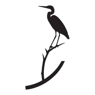 Zarif balıkçıl silueti kavisli bir dal dizaynında zarifçe tünemiş.