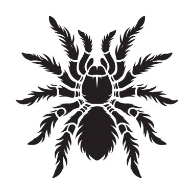 Ayrıntılı Eklembacaklı Vektör Grafiği: Cesur Siyah Örümcek Çizimi Tasarımı