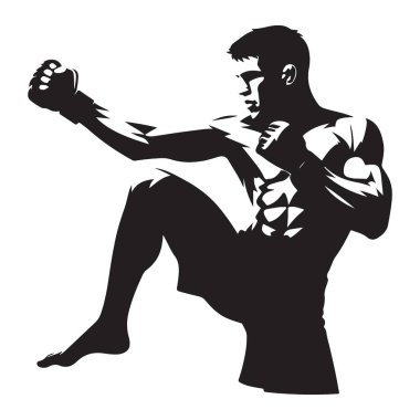 Dinamik Dövüş Sanatları Dövüşçüsü Silueti Harekette Poz Verdi