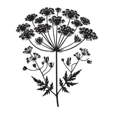 Yaban Çiçeği 'nin Zarif Silueti Siyah Mürekkeple Bitki Çizimi
