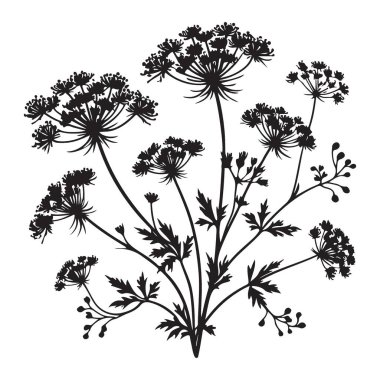 Doğal Tasarım Elementleri için Zarif Yaban Çiçeği Silüeti Çizimi
