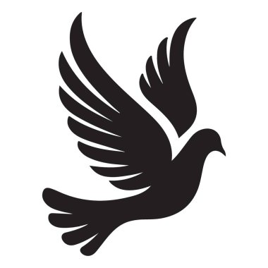 Barışçıl Uçuştaki Güvercinin Zarif Silueti