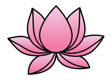 Güzel Pembe Nilüfer Çiçeği Resimleri Serene Taç ve Siyah Çizgilerle Çiçek Açar