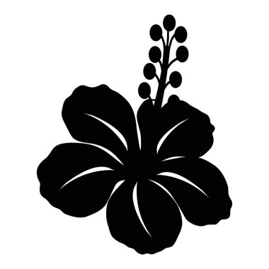 Tropikal Hibiscus Çiçek Tasarımı Elementinin Çarpıcı Siyah Silüeti