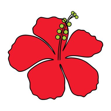 Canlı Kırmızı Hibiscus Çiçek Vektör Sanat Renkli Çiçek Tasarımı Elementi