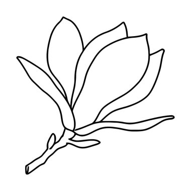 Mülkiyet ve Konut Resimleri İçin Dört Ayrı Ev Tasarımı