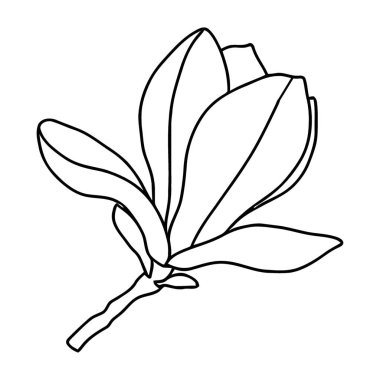 Yaratıcı Tasarımlar İçin Yan Görünüm Manolya Çiçeği Bud Siluet Çizimi Çizimi