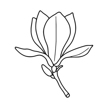 Zarif Botanik Manolya Çiçeği Tek Çizgili Sanat Çizimi