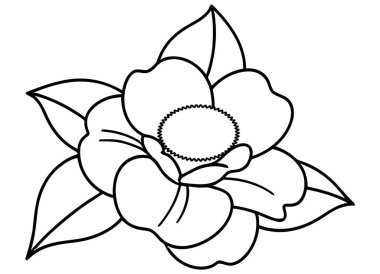 Çiçek açan bu güzel çizgili sanatı keşfedin. Karmaşık taç yaprakları ve gür yapraklar sergiliyor. Zamansız zarafeti onu yaratıcı uygulamaların geniş bir yelpazesi için ideal kılıyor, doğal gelişmişlik katıyor..