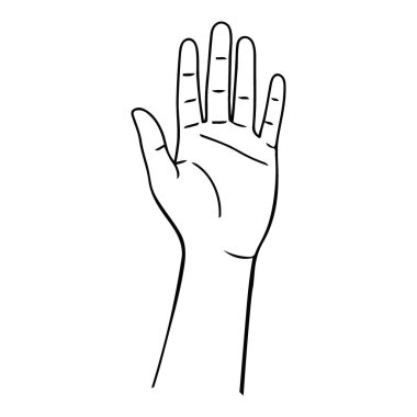 Avuç İçini Durdurmak ya da Merhaba Jesti İçin Göstermek