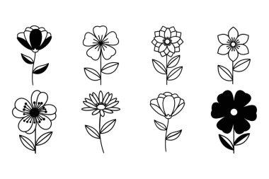 Yaprak ve Köklü Zarif Botanik Çiçek Tasarımları Koleksiyonu