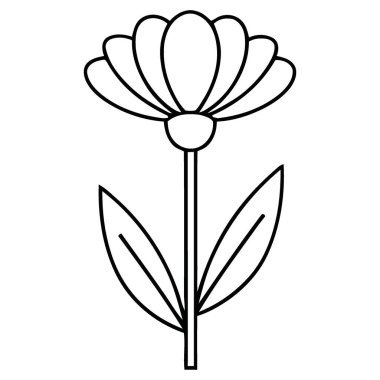 Nazik Yuvarlak Yaprakları ve Yaprakları Olan Güzel Bir Çiçeğin Minimalist Özeti