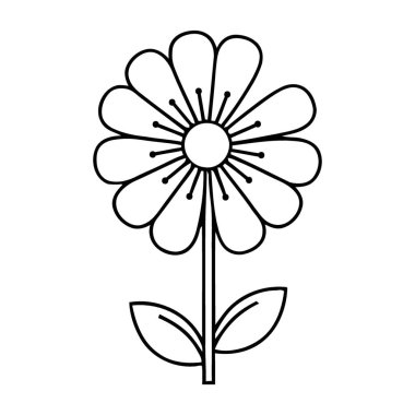 Sayısız Taç Yaprağı ve Ayrıntılı Stamensli Neşeli Çiçek Resimleri