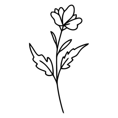 Zarif Botanik Yaban Çiçeği Yaprak Çizgisi Sanatı ile Çiçek Kökü