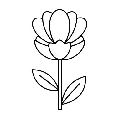 Zarif bir tomurcuklanan çiçeğin kibarca çevrili zarif taslağı.