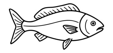 Eğitici Grafikler İçin Bir Tatlı Su Balığının Detaylı Çizimi