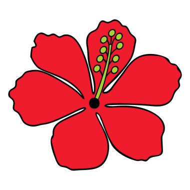Biçimlendirilmiş Kırmızı Hibiscus Çiçek İllüstrasyonu Karşıt Yeşil ve Siyah Merkez