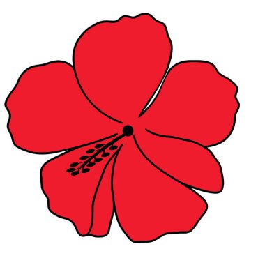 Canlı Kırmızı Hibiscus Çiçeği Tropikal Çiçek Zarif Çiçek Tasarımı Elementi