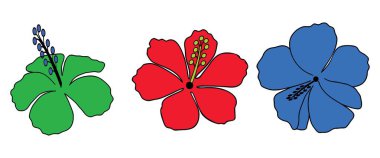 Renkli Tropikal Hibiscus Çiçek Çeşitliliği Çiçek Vektör Sanat Tasarımı