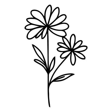 Yaprakları Yapraklı Çiçeklerin Ayrıntılı Tasviri