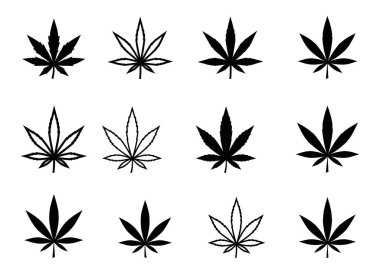 Çeşitli sert ve özet biçimleri gösteren çeşitli kenevir bitkisi yaprağı çizimleri