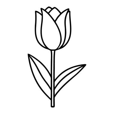 Basit Çizgi Sanatı Lale Çiçeği Çizimi Kök ve Yaprak Tasarımı