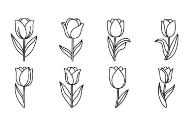 Çeşitli Satır Sanat Lale Tasarımları ve Botanik Resimleri Koleksiyonu