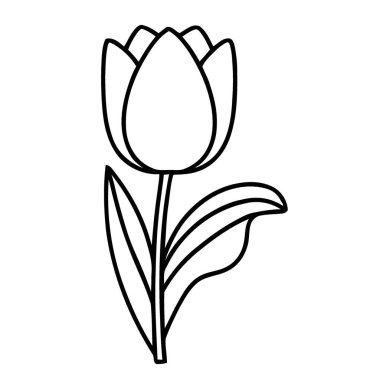 İlkbahar Dekorasyonu için Yumuşak Eğimli Lale Çiçeği Özet Çizimi