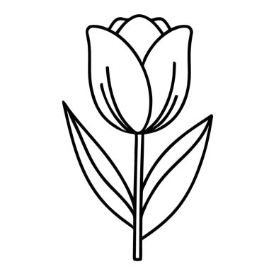 Basit Zarif Lale Çiçeği Çizimi Yaratıcı Renk Projeleri İçin Hazır