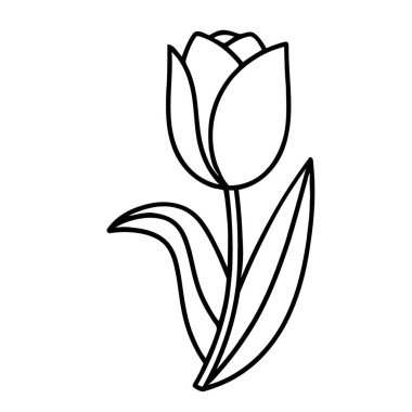 Zarif Açı Lale Kökü Çizimi Mevsimsel Sanat Projeleri Tasarımı İçin Mükemmel