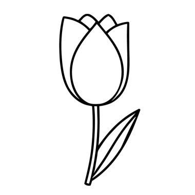 Basit Lale Çiçeği Çizgisi Sanat Çizimi Botanik Çizim