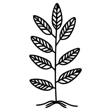 Birçok Yaprakla Dolu Yeşil Bitkinin Detaylı Botanik Çizgisi Sanat ResmiComment