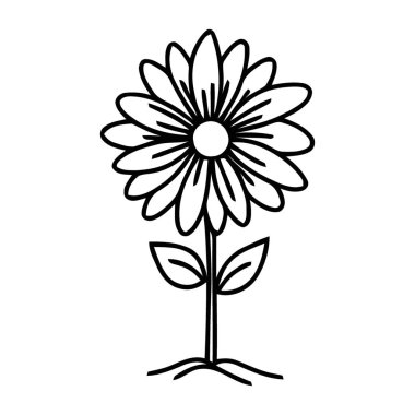 Çekici Çizgi Sanat Resimleri: Çiçek açan bir Papatya Çiçeği Kök ve Yapraklı