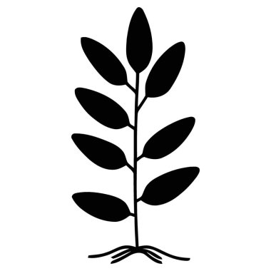 Çoklu Yaprak ve Kökleri Olan Biçimli Botanik Bitkisi Silueti