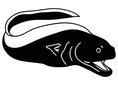 Vurucu Siyah ve Beyaz Yılanbalığı İllüstrasyonu Açık Ağızlı Avlanmaya Hazır