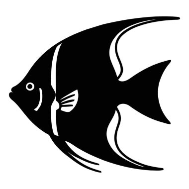 Zarif Beyaz Aksanlı Çarpıcı Melek Balığı Siluet Vektör Sanatı