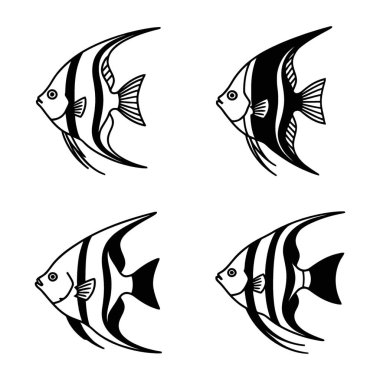 Çeşitli Melek Balığı Resimleri Çizgi Sanatı ve Kalın Siluetler