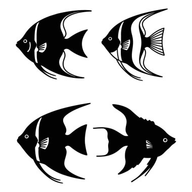 Melek Balığı Koleksiyonu Su Yaratıkları Çeşitli Tarzlar ve Siluetler Çizimi