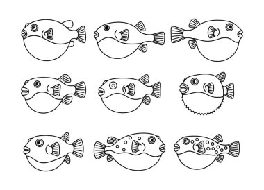 Büyüleyici Kirpi Balığı Özeti Eğitim ve Yaratıcı Projeler İçin Resimler
