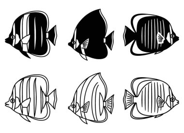 Dış hatlar ve siluetler içeren çeşitli tropikal melek balığı resimleri koleksiyonu
