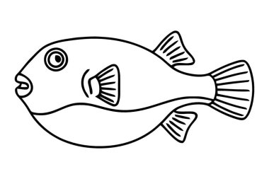 Ayrıntılı Çizgili Kirpi Balığı ResimleriComment