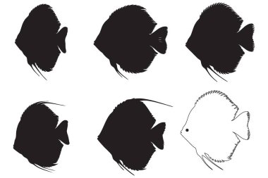 Sucul Temalı Sanat İçin Dinamik Disk Balık Silüetleri Koleksiyonu ve Taslak Çizimler