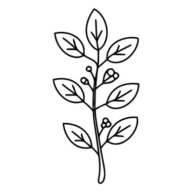 Küçük Böğürtlen Çizgisi Sanat İllüstrasyonlu Zarif Botanik Yaprak Şubesi